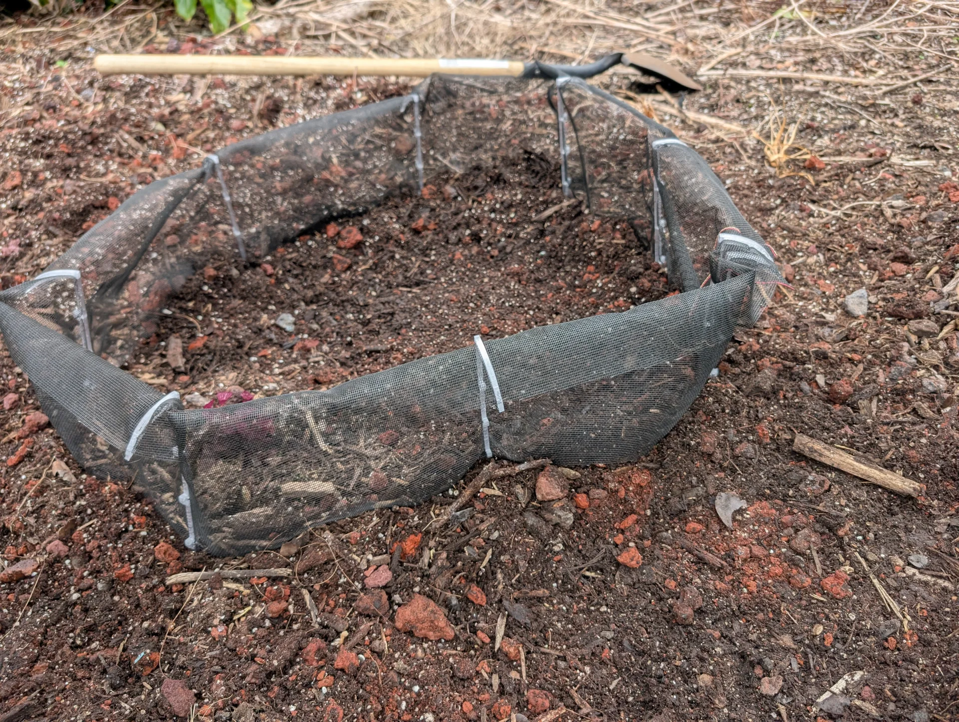 Close-up of Slug Defense mesh barrier staked into soil